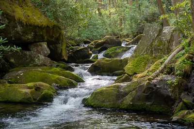 Great Smoky Mountains National Park