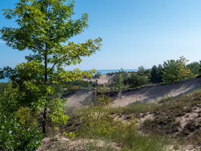 Indiana Dunes