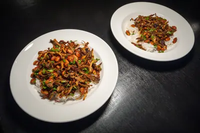 Mushroom Carnitas