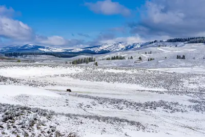 Yellowstone National Park